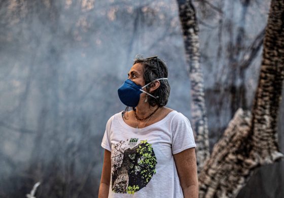 Cientista Indica Meios De Combate A Queimadas Na Amaz Nia Nosso