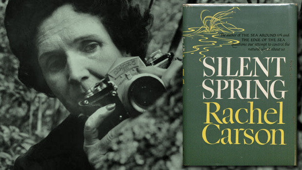 Rachel Carson Silent Spring 620