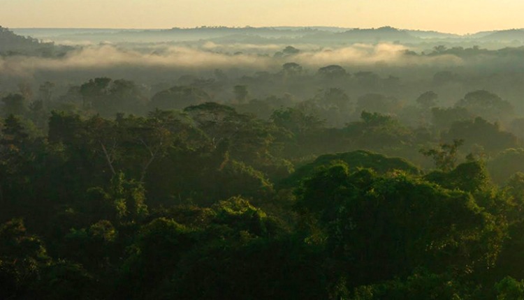 Floresta Amazonia