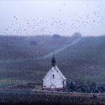 FRANCE WEATHER SNOW FEATURE