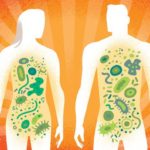 Microbiota