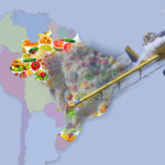 Aviao Agrotoxico Brasil