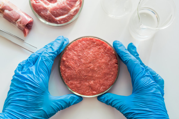 Carne Artificial Placa Petri