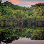 Brasil Amazonia Jau Abre 0