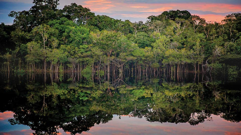 Brasil Amazonia Jau Abre 0