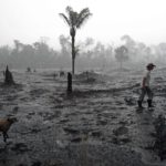 Devastação Queimada Amazonia