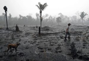 Devastação Queimada Amazonia