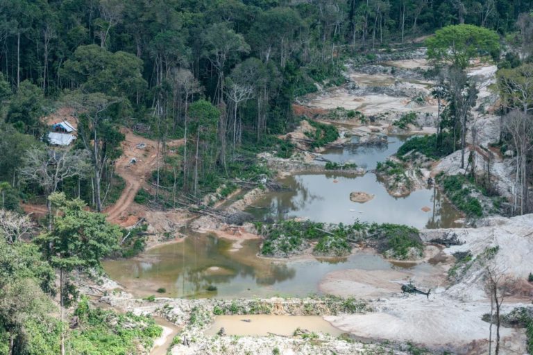 Mundurukus Mineração