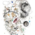 Microplastics Hawaii