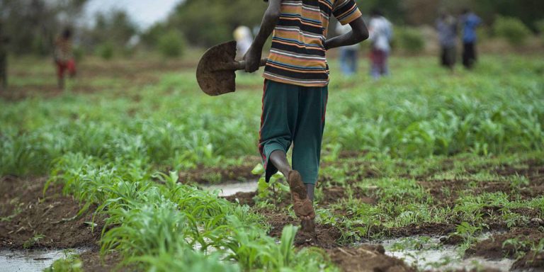 Africa Revolução Verde