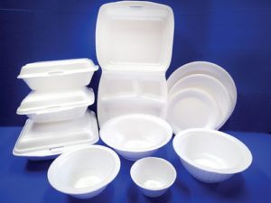 Disposable Dishes 500x500