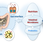 Imuno E Microbioma