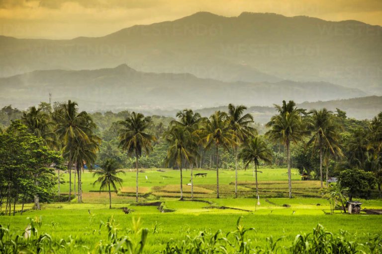 Indonesia Java