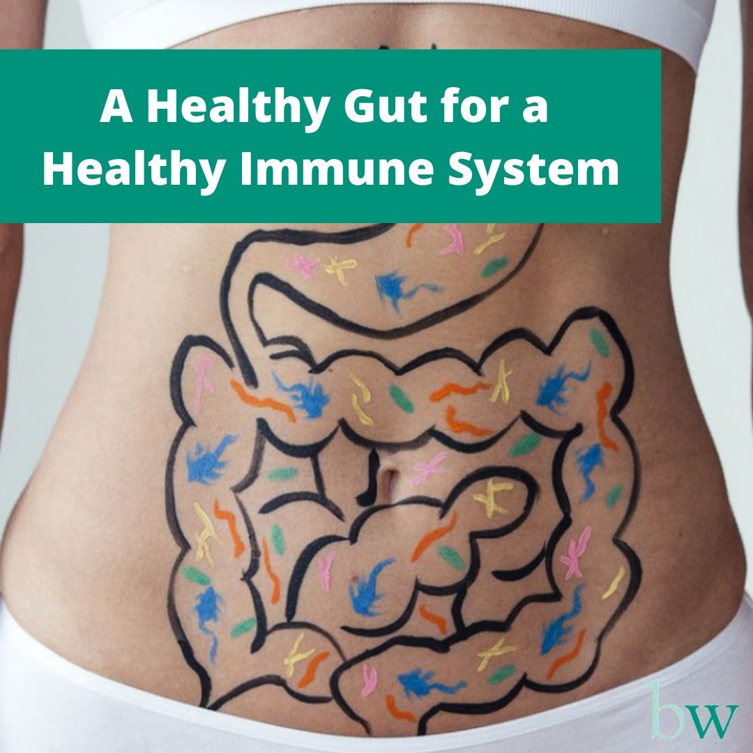 Healthy Gut Healthy Immune
