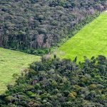 Soja Amazônia