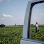 Monsanto Dicamba