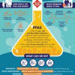 FIGO PFAS Infographic FINAL