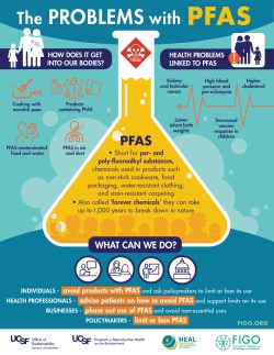 FIGO PFAS Infographic FINAL