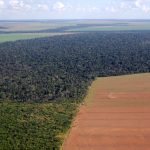 Deforestation Amazon Land Management