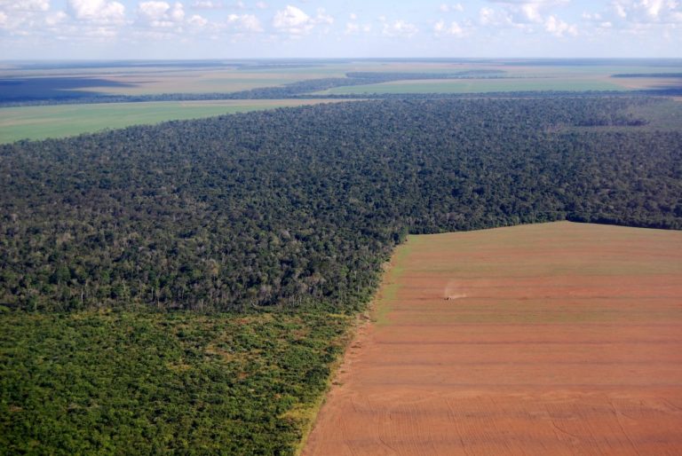 Deforestation Amazon Land Management