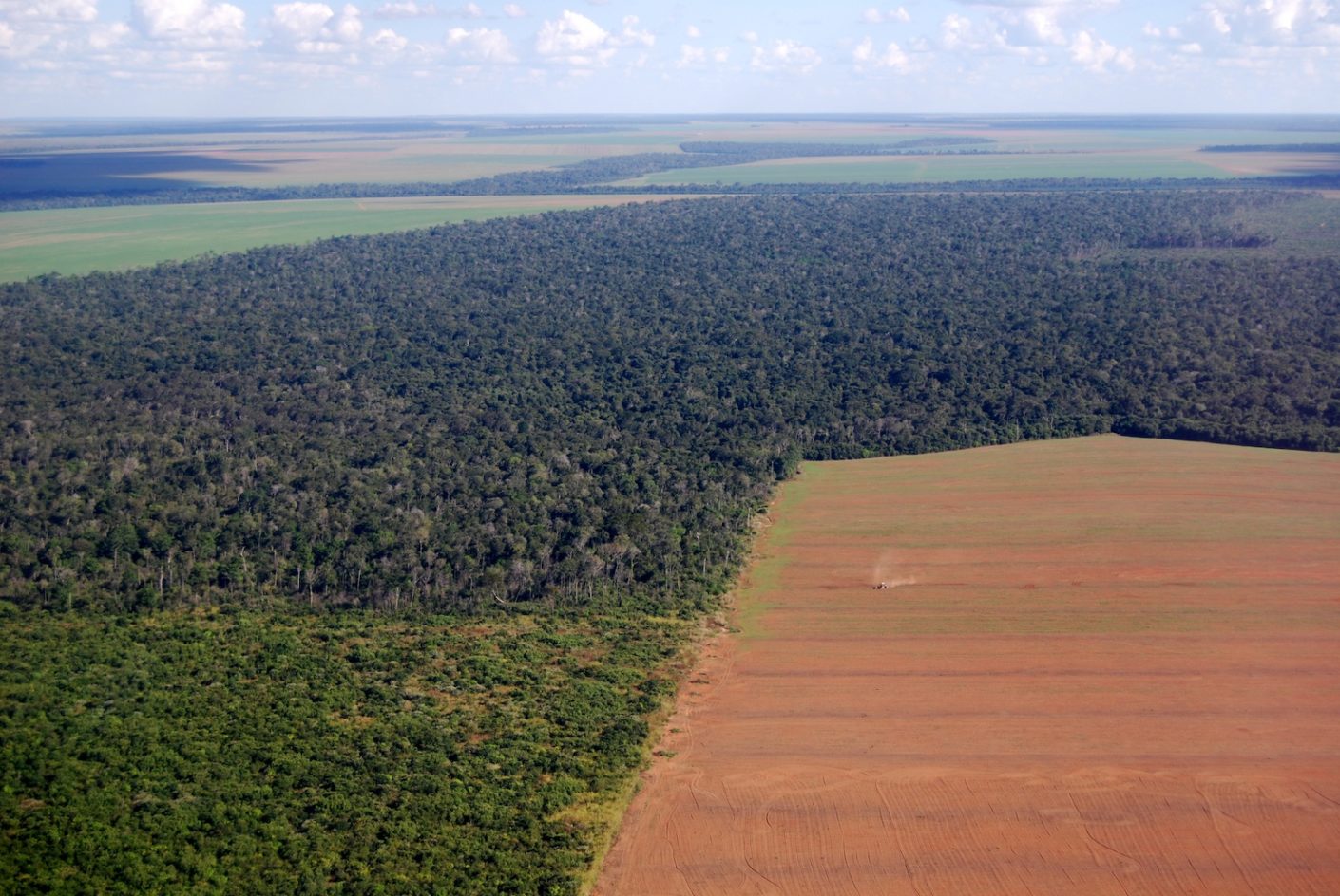 Deforestation Amazon Land Management