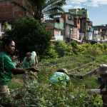 Horta Urbana Rio