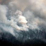 Forest Fires In Siberia Are Now Greater Than All Other