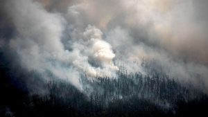 Forest Fires In Siberia Are Now Greater Than All Other
