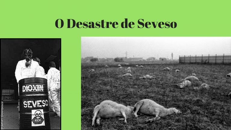 Desastre De Seveso