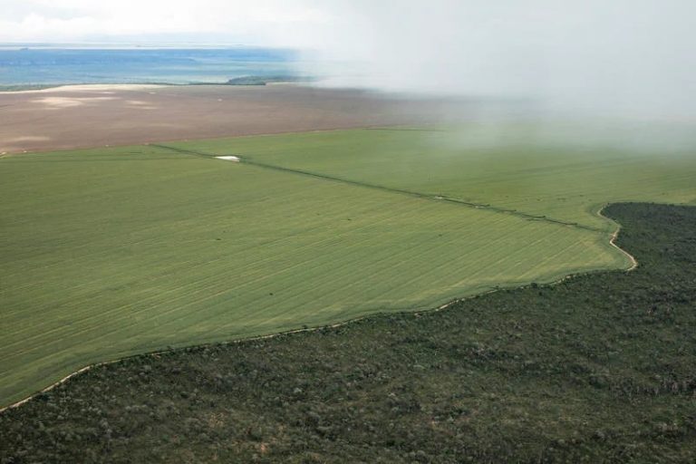 Fazenda Estrondo Foto Greenpeace