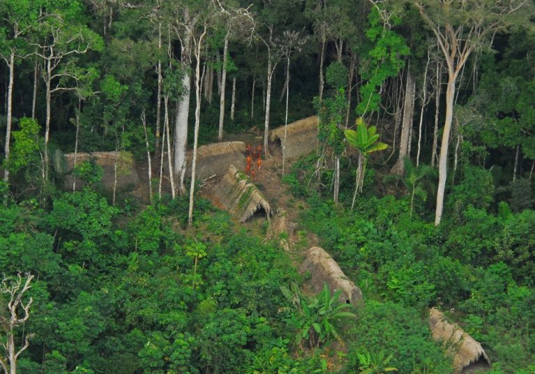 Indígenas Isolados