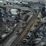 OilSands Forests