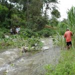 Emergência Climática