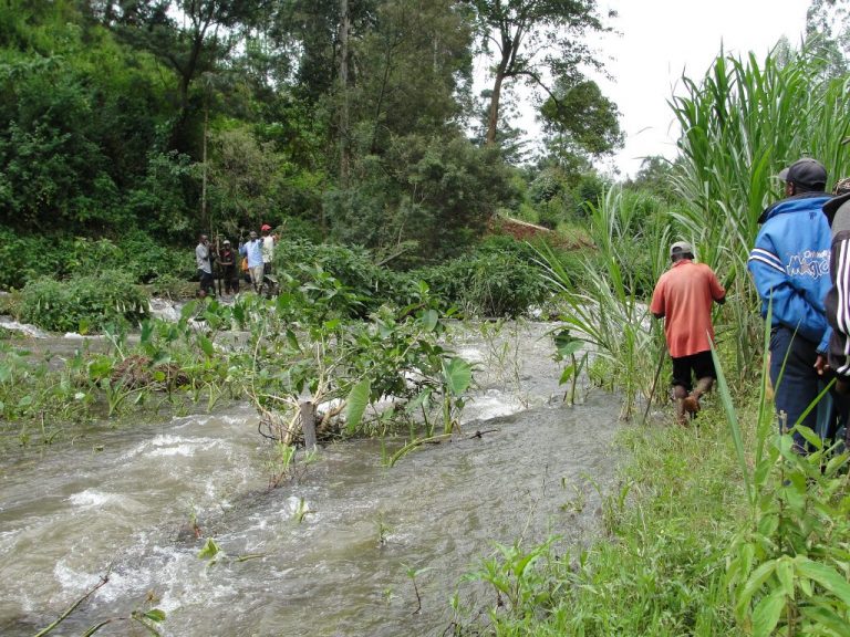 Emergência Climática