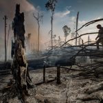 Queimada Amazônica