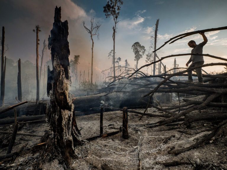 Queimada Amazônica