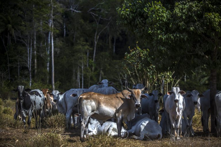 Brazil's Key Grain Export BR 163 Highway