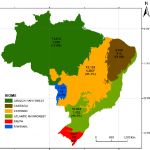 Map Of Brazilian Biomes Showing The Total Number Of Seed Plant Species Top Number The