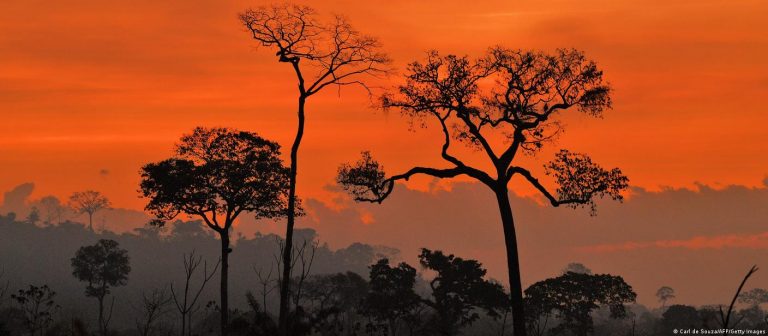 Amazonia E Inflexão