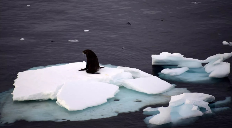 Clima Extremo Antartica