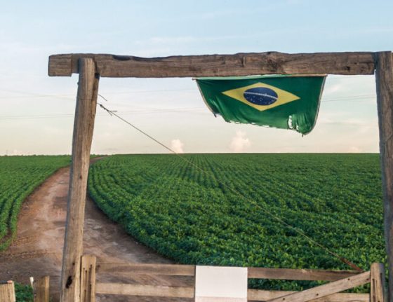 Agricultura: O Brasil na atmosfera irrespirável do agronegócio