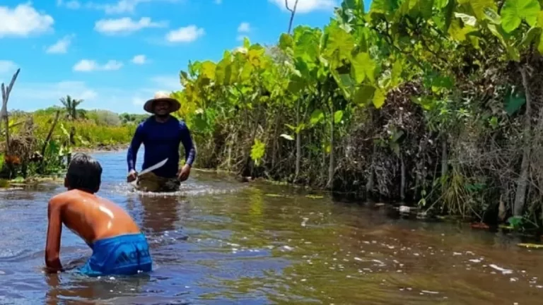 RIO RENASCIDO Em Aldeias Indigenas Na Paraiba