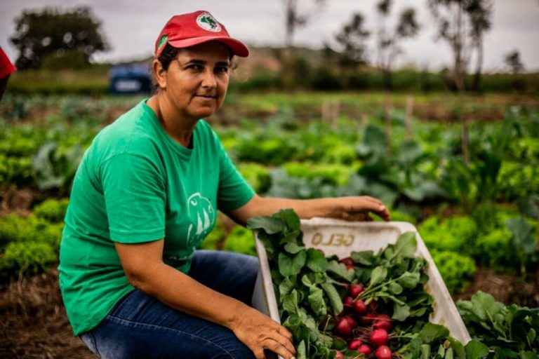 Mst Agroecologia