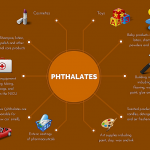 Phthalates Infographic