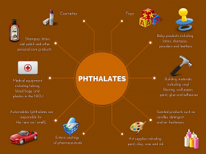 Phthalates Infographic