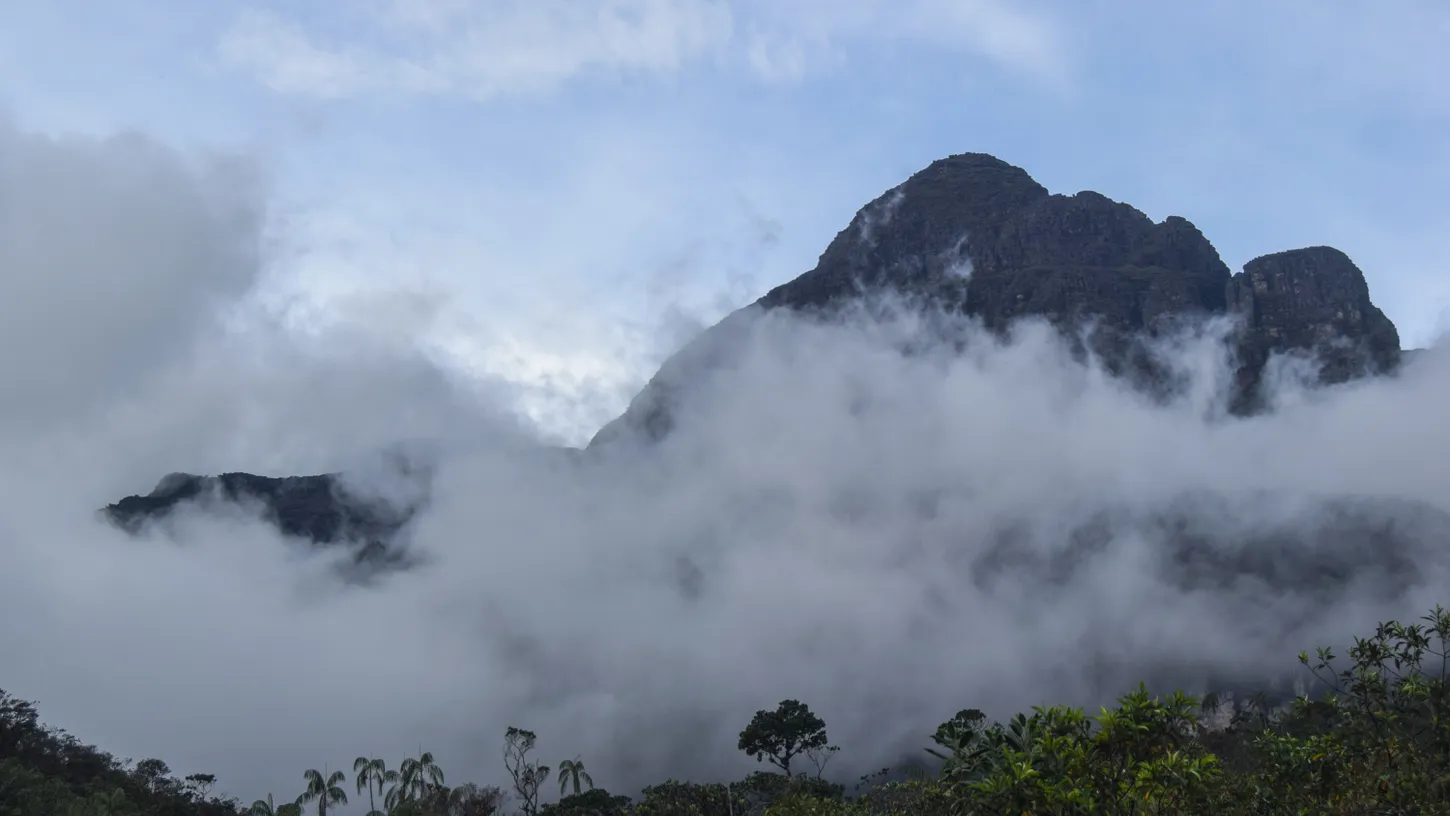 Pico Da Neblina Trat 1