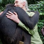 Jane Goodwall