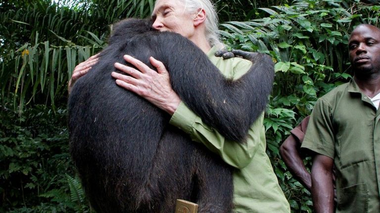 Jane Goodwall