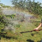 Agrotoxicos Quais Alimentos Tem Mais Residuos 1