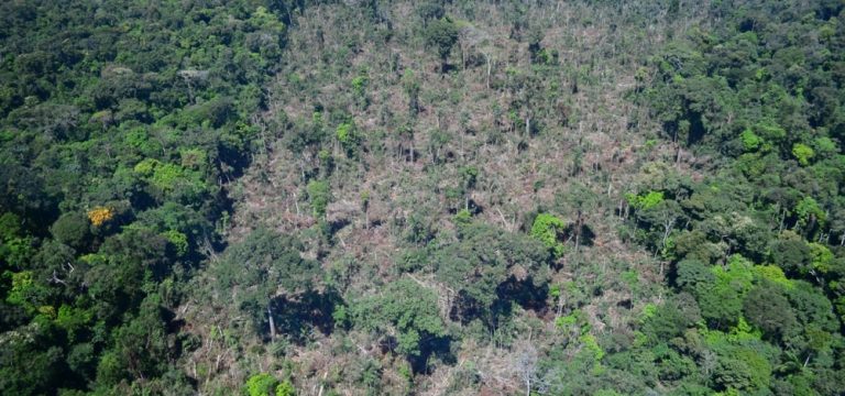 Amazônio Rala